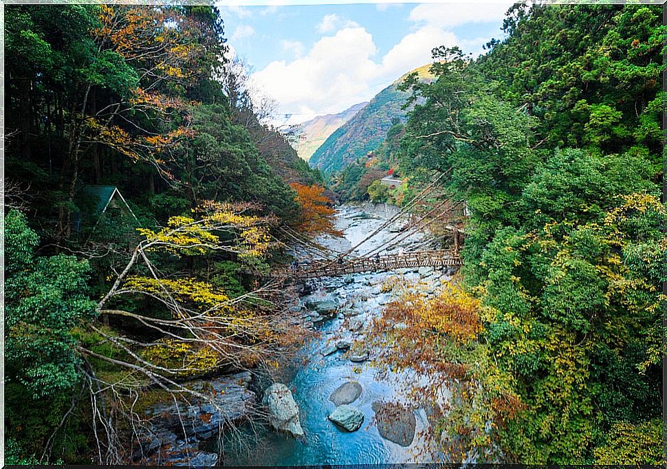 Shikoku, one of the most beautiful Japanese islands