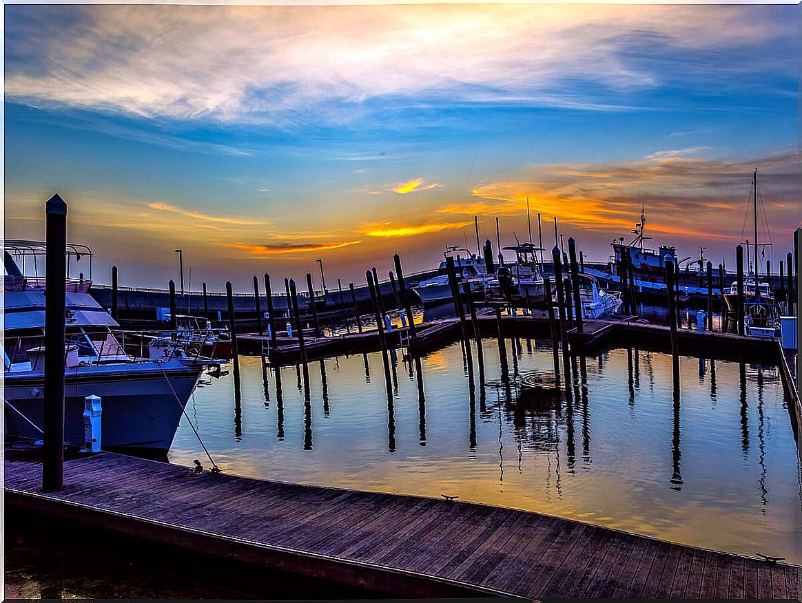 Landscape of Lake Okeechobee in Florida during the fall.