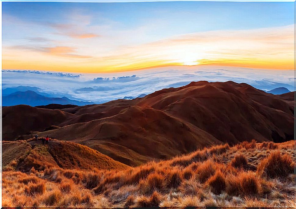 Mount pulag