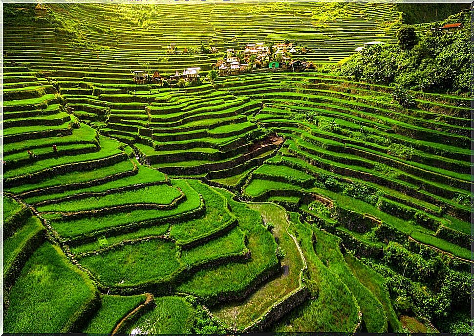 Rice terraces on Luzon Island, Philippines