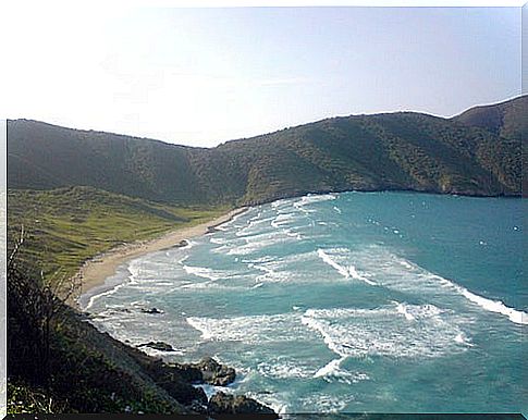 Tayrona natural park in Colombia