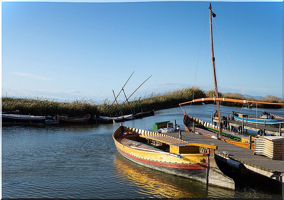 Albufera de Valencia Natural Park