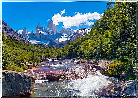 7 precious gifts for the eyes in Patagonia