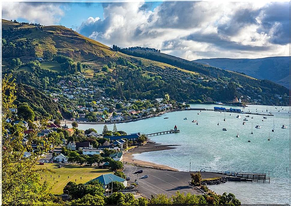 7 things to do in Akaroa, Banks Peninsula