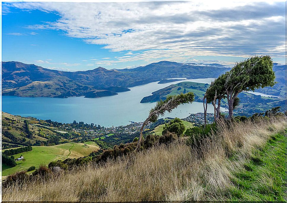 Banks Peninsula