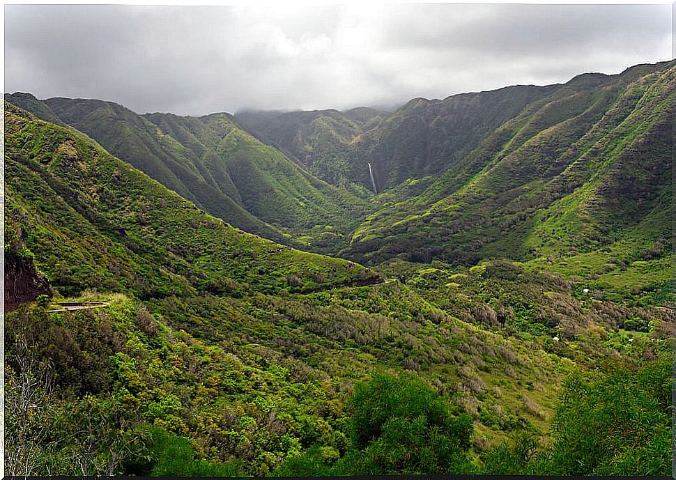 The Halawa Valley, perfect for a relaxing hike