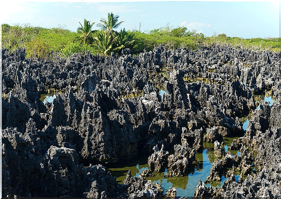 Hell landscape in the Cayman islands