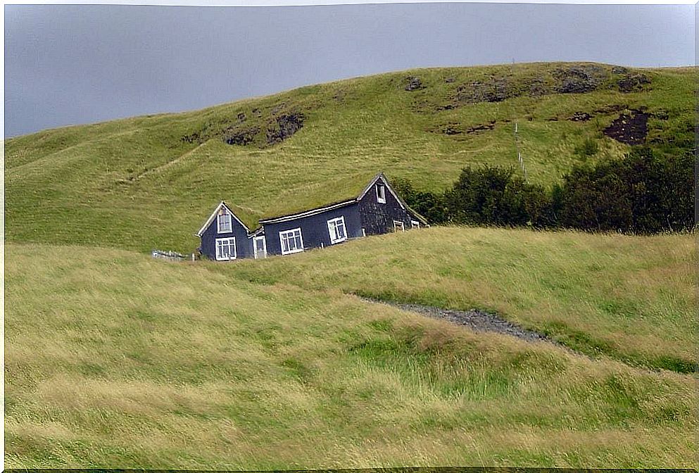 Grass house in iceland