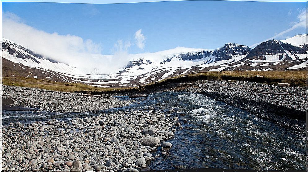 Hornstrandir in Iceland