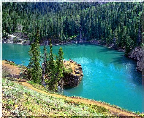 Yukon river