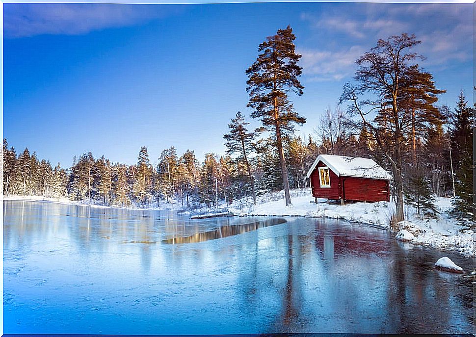 Swedish Lapland landscape