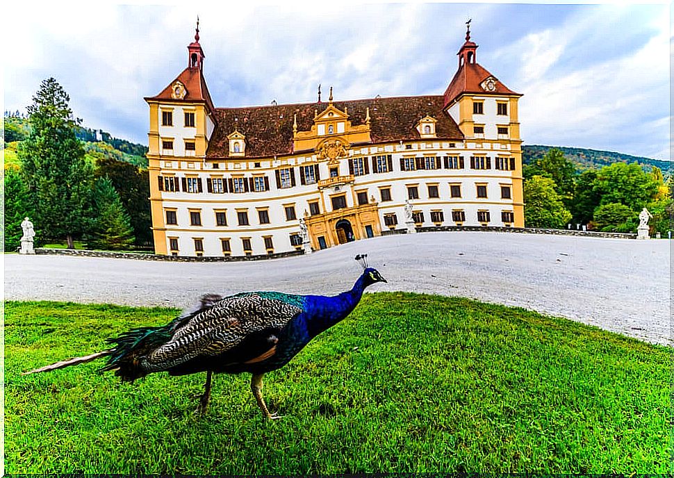 Eggenberg castle facade