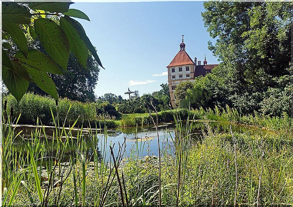 View of the gardens