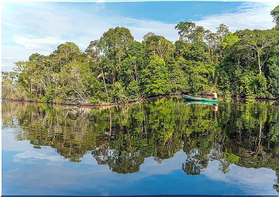 Bolivian Amazon on a trip through South America