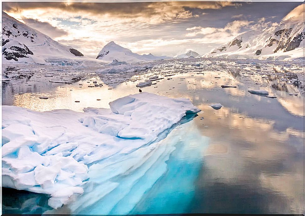 Antarctica landscape