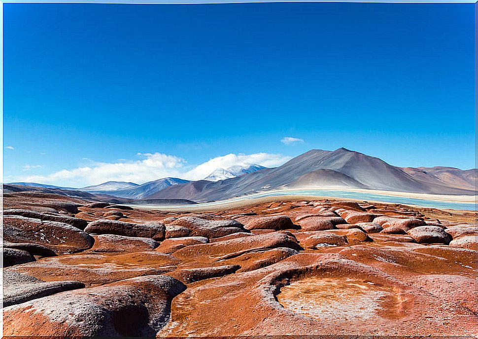 Red stones in the Atacama desert