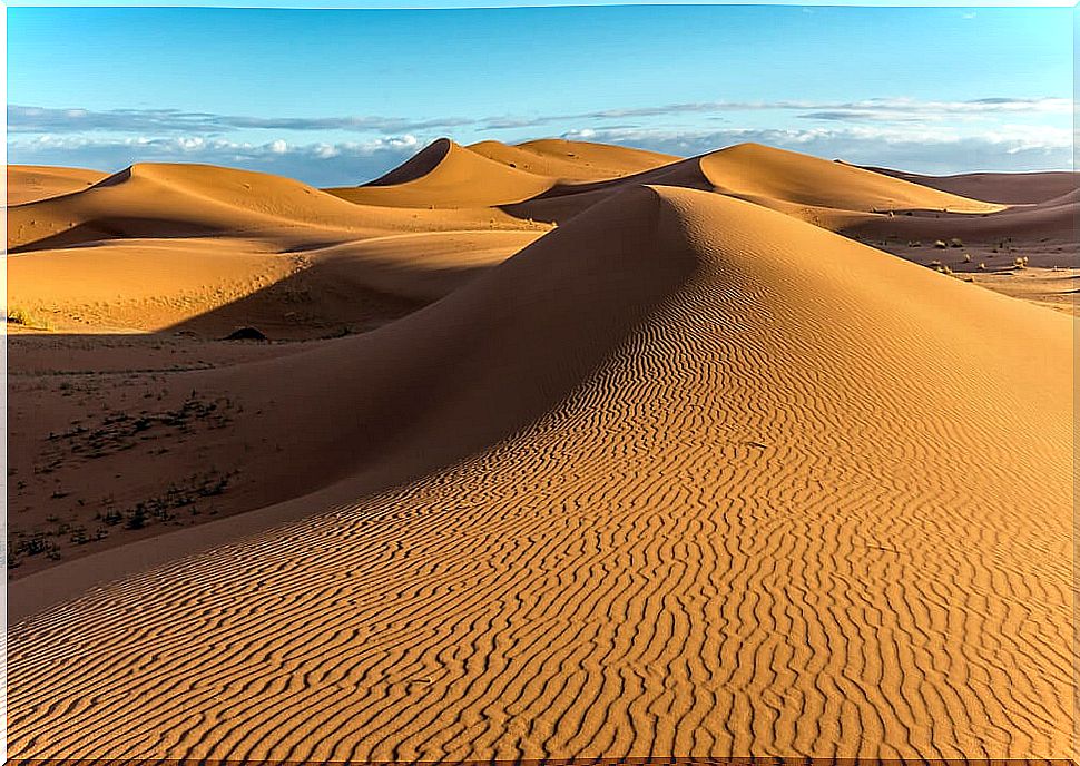 The Sahara: the largest non-polar desert in the world