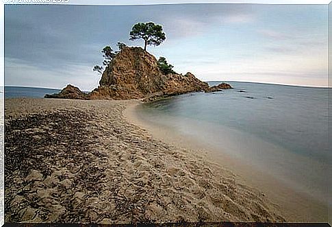 Cala de Cap Roig in Calella de Palafrugell