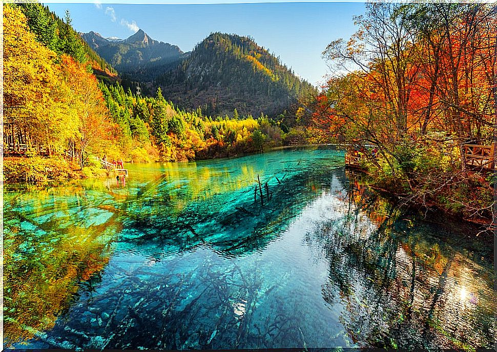 The Lake of the Five Flowers, a treasure of nature in China