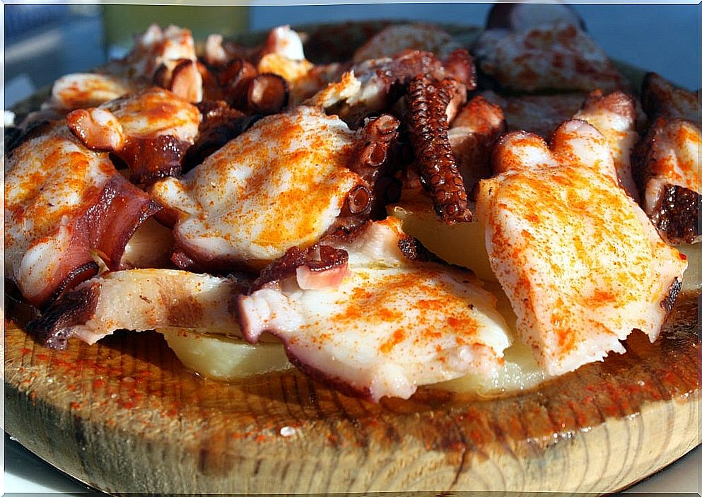 Galician octopus