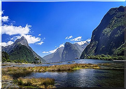 Milford Sounds in New Zealand