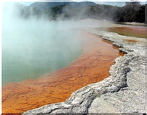 Rotaura geothermal area in New Zealand