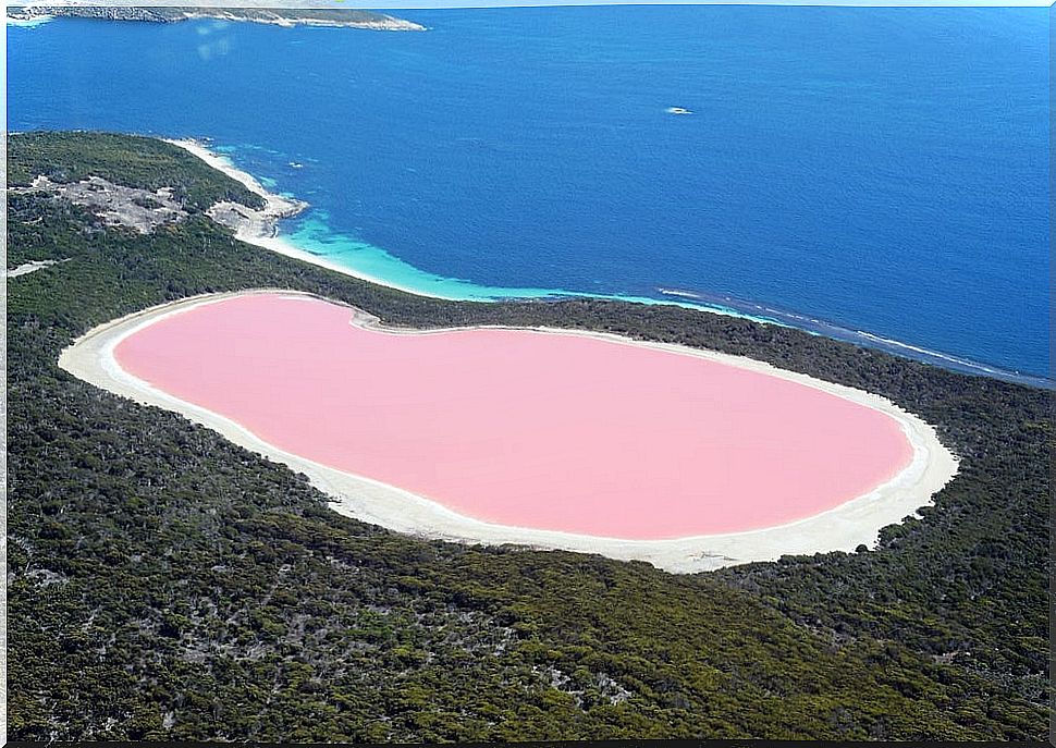 Discover the incredible pink waters of Lake Hillier in Australia