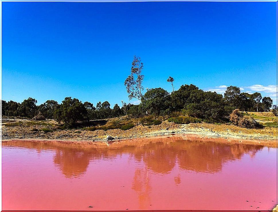 Hillier Lake