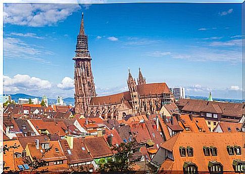 Freiburg Cathedral