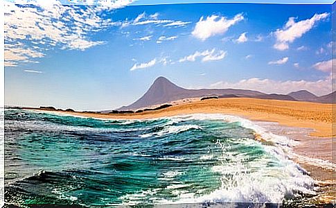 Fuerteventura, discover a wonderful island