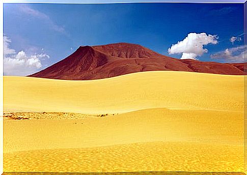 dunes of Corralejo in Fuerteventura