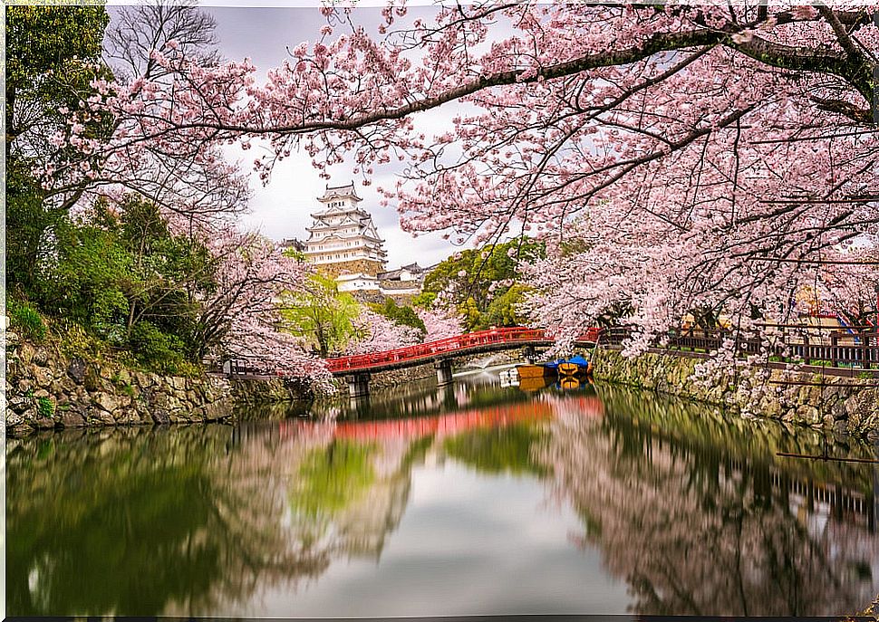 Himeji Castle in spring