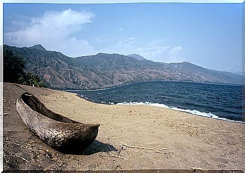 Lake Malawi 