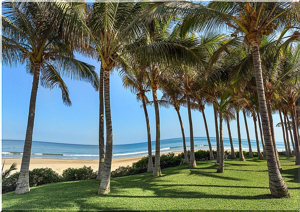 Beach in Máncora