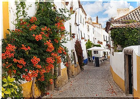 Óbidos street