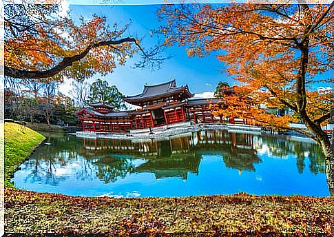 Organize your trip to Japan, useful tips