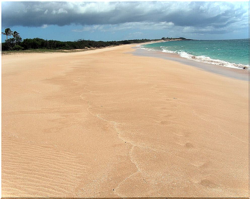 Papohaku Beach