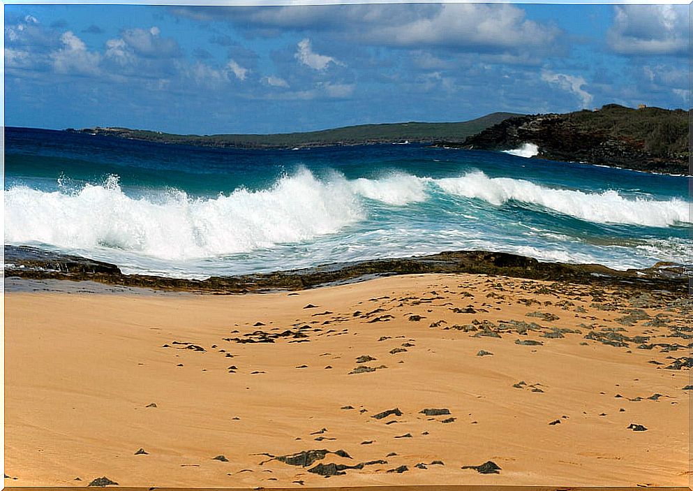 Swell at Papohaku Beach