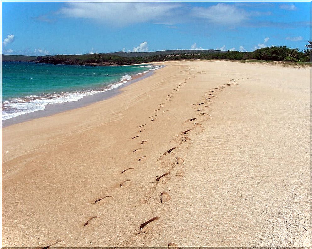 Footsteps on Papohaku Beach