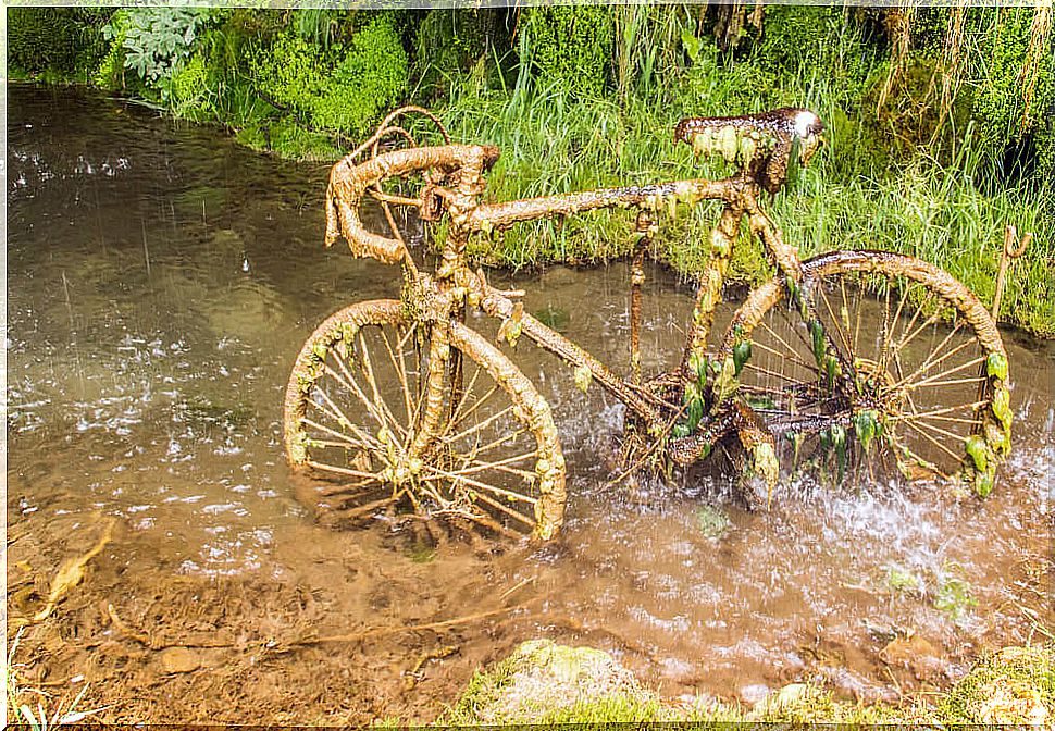 Petrified bicycle