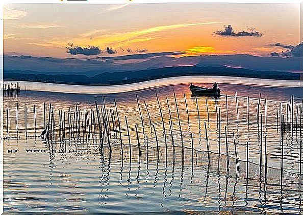 Lake of the Albufera Natural Park in Valencia