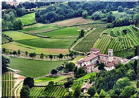 Lombardy Landscape