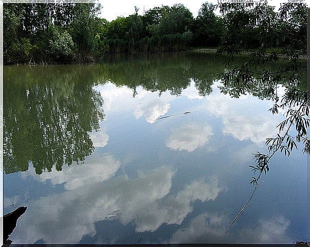 Parco del Rio Vallone on the way to Bergamo from Milan