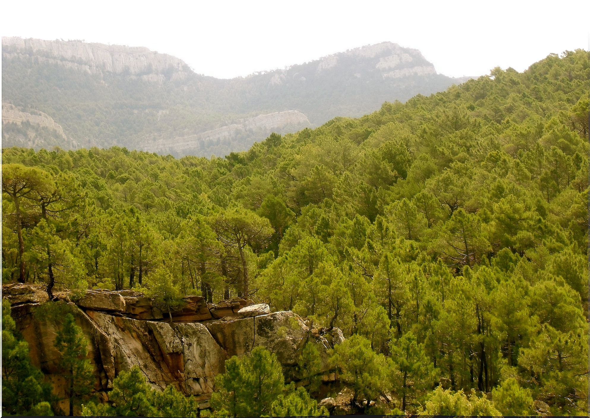 Sierra de Gúdar near Rubielos de Mora