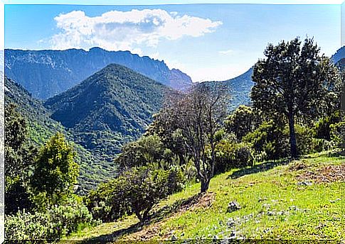 Sierra de Grazalema, the great wall of Andalusia