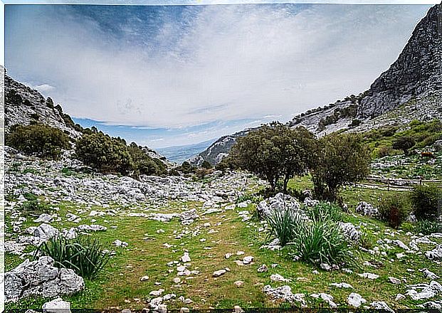 Sierra de Grazalema