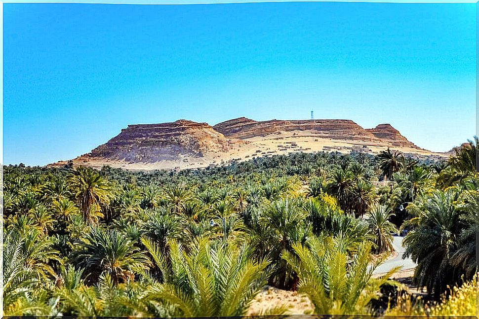 Siwa in the desert of Egypt