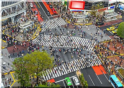 Shibuya Crossing in Tokyo 