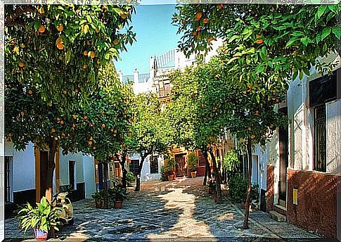 Santa Cruz neighborhood of Seville