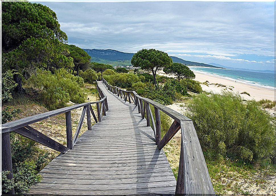 Bolonia beach in Tarifa